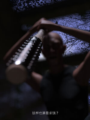 [桃花铺子]银雪女侠之侠隐迷踪01_248