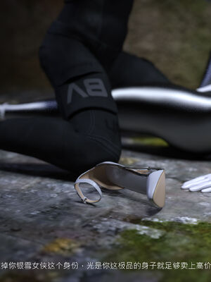 [桃花铺子]银雪女侠之侠隐迷踪01_333