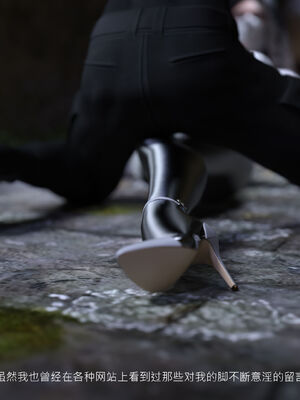 [桃花铺子]银雪女侠之侠隐迷踪01_339