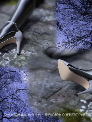 [桃花铺子]银雪女侠之侠隐迷踪01_340