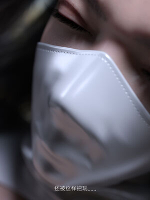 [桃花铺子]银雪女侠之侠隐迷踪01_341