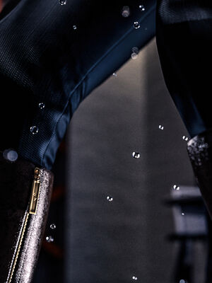 [桃花铺子]银雪女侠之侠隐迷踪03_187