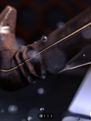 [桃花铺子]银雪女侠之侠隐迷踪03_244