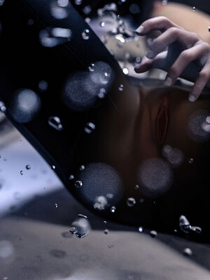 [桃花铺子]银雪女侠之侠隐迷踪03_245