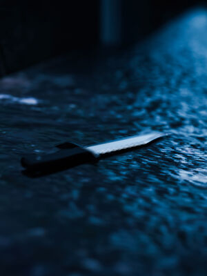 [桃花铺子]银雪女侠之侠隐迷踪04_122