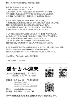 [BINZOKO (しのびん)] 猫サカル週末 (ブルーアーカイブ) [DL版]_27