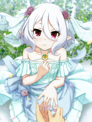 (C105) [MIDDLY (みどりのちや)] カラフルコネクト 11th：Dive (プリンセスコネクト!Re：Dive)_31