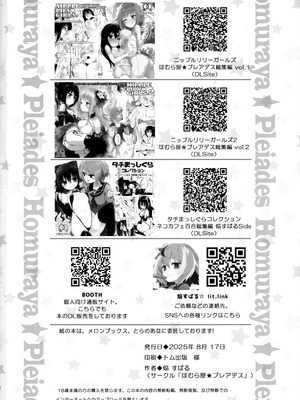 (C106) [ほむら屋★プレアデス (焔すばる)] コワサレアイ｜支離破碎的愛 [透明声彩汉化组]_21