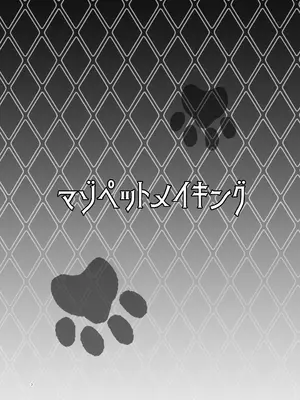 [どこかのよすみ (隅々四隅)] マゾペットメイキング (ポケットモンスター ブラック2・ホワイト2) [DL版]_03