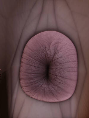 [Ann] 淫欲全家桶 番外-姬紫佩篇02_179