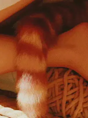 阿薰kaOri - 黄豆粉_183