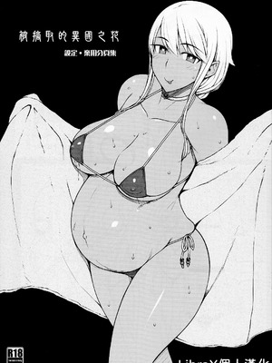 (C101) [だらぶち堂 (だらぶち)] 摘マレタ異国ノ華 設定・没ページ集｜被摘取的異國之花 設定・棄用分頁集 [LibraX个人漢化]