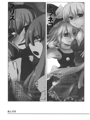 (C75) [Silver＊Garden (トラネコ, マリス)] アリスおいしいです^p^ (東方Project) [Nonothird个人汉化]_21