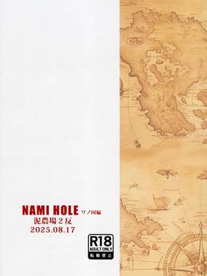 (C106) [泥農場 (泥田坊)] NAMI HOLE ワノ国編 (ワンピース) [賢人漢化]_02