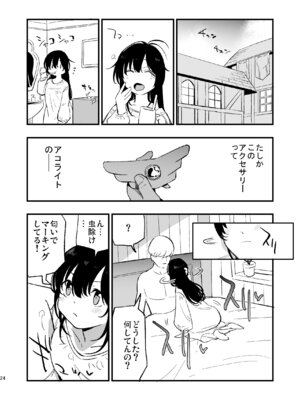 [白ネギ屋 (miya9)] アコプリ物語IV ～その後～ (ラグナロクオンライン) [DL版]_23