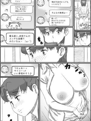 [ヒレカツ] 母子スワップ02 叔母さんって結構簡単だよね？_091