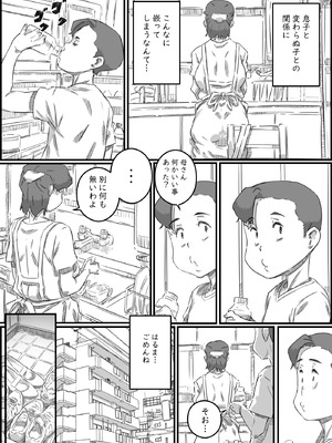 [ヒレカツ] 母子スワップ02 叔母さんって結構簡単だよね？_092