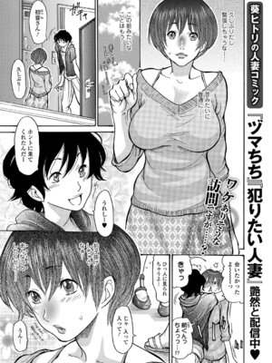 Webコミックトウテツ Vol.17_094