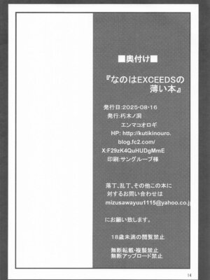 [朽木ノ洞 (エンマコオロギ)] なのはEXCEEDSの薄い本 (魔法少女リリカルなのは)_13