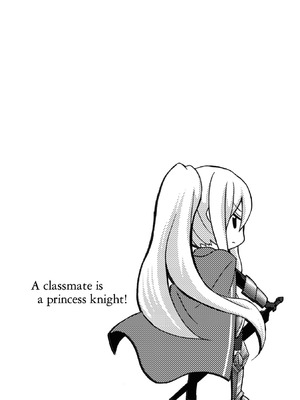 [EKZ×NO.ゴメス] 姫騎士がクラスメート! THE COMIC 第01巻_148