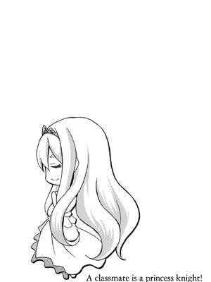 [EKZ×NO.ゴメス] 姫騎士がクラスメート! THE COMIC 第01巻_170