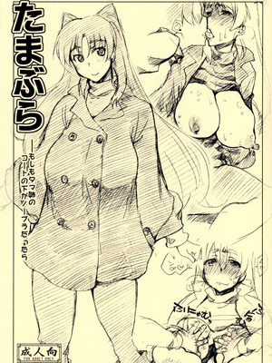 (C81) [沙悟荘 (瀬浦沙悟)] たまぶら (トゥハート2) [不咕鸟汉化组]