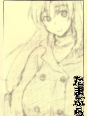 (C81) [沙悟荘 (瀬浦沙悟)] たまぶら (トゥハート2) [不咕鸟汉化组]_18