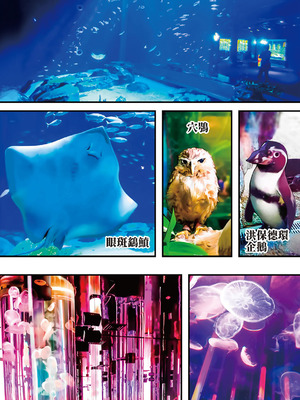 [STUDIOふあん (来鈍)] 飯犯トラベラーズ 沖縄集団レイプ済 ハーレムひとり旅編｜吃飯兼炒飯的旅者們 沖繩集體●姦後 後宮單人之旅篇 [中国翻訳] [DL版]_192