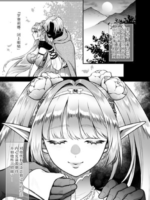 [H.B.A (うさぎなごむ)] 悠久の娼エルフ6〈夢幻〉過去編I [無修正] [DL版] [佐宗棠个人汉化]_07