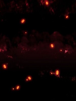 偷窺俱樂部 1-21話[完結]_011480