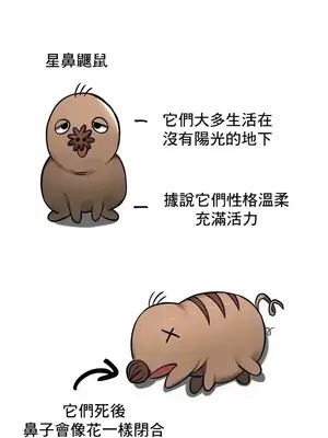 異世界重生之後宮養成記 1-67話[完結]_045029z