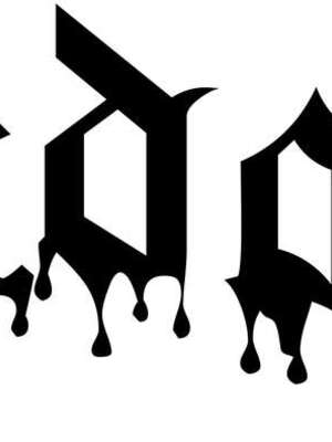 [K记翻译] (C93) [武蔵堂 (ムサシノセカイ)] フタ菊2 | 扶她菊2 (ブリーチ)_23