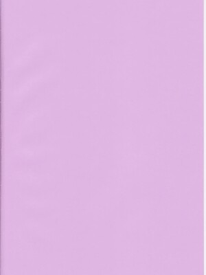 (C79) [ギャラクシー物置 (華塚良治)] ビッチスポイラー (東方Project)_bitch_002