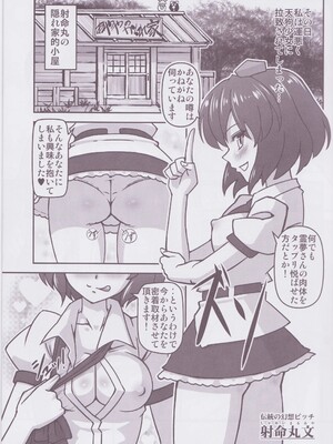 (C79) [ギャラクシー物置 (華塚良治)] ビッチスポイラー (東方Project)_bitch_005