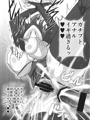 [ギャラクシー物置 (華塚良治)] ビッチスポイラー4 (東方Project)_18