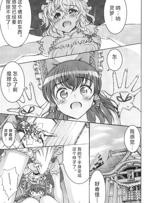 [佐藤はがね (鋼鉄)] 二人の境界線 (東方Project) [中国翻訳]_05