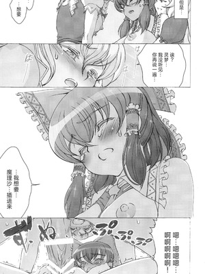 [佐藤はがね (鋼鉄)] 二人の境界線 (東方Project) [中国翻訳]_13