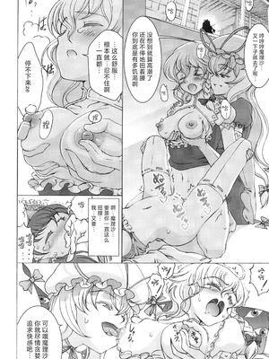 [佐藤はがね (鋼鉄)] 二人の境界線 (東方Project) [中国翻訳]_16