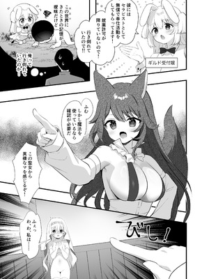 [INS-mode (天凪青磁)]異世界セイカンセラピスト2 [DL版]_06