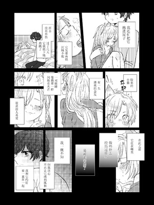 (幸福の在り処3) [Azul (林檎)] MY SWEET SWEET CATGIRL!! (BANANA FISH) [DL版] [月光石汉化组]_07