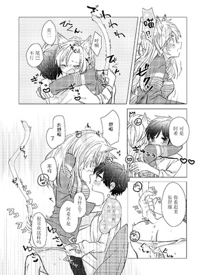 (幸福の在り処3) [Azul (林檎)] MY SWEET SWEET CATGIRL!! (BANANA FISH) [DL版] [月光石汉化组]_11