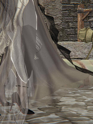 [保安]逆转-武林盟主篇_135