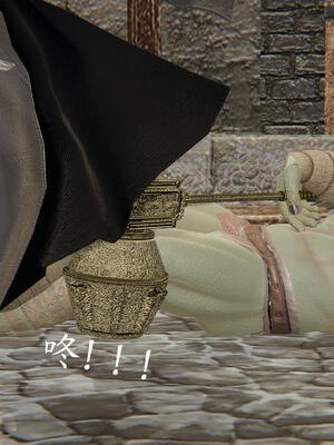 [保安]逆转-武林盟主篇_138