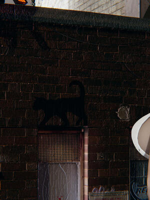 [保安]逆转-白皇后篇01_136