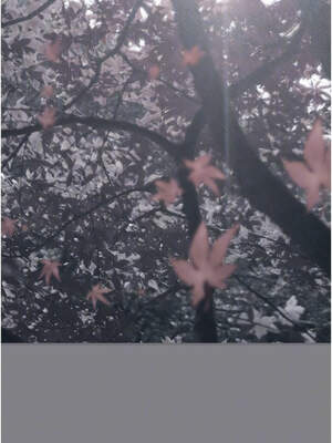 垃圾堆撿到寵物系萌妹 1-15話_05_09_djlf