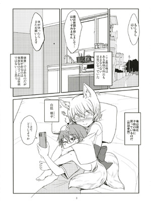 (C106) [端末異常 (BadHanD)] 白狐の杜其の拾肆 [DL版]_03