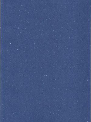 (C106) [ワンオアエイト (おどち)] 猫飯店へようこそ (らんま1／2) [MTL]_04