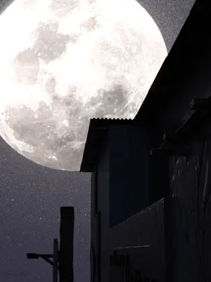 [ZKing] 暗月 第一章_048_47