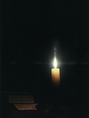 (C106) [こまめすがた (吾暮えくと)] 稗堕 (東方Project) [中国翻訳]_003