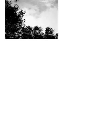 迷宫干 1-110話+日后談1-32話[完結]_A014033